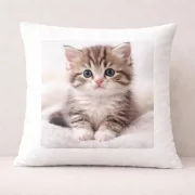 Fotokissen Flauschi 40x40